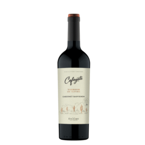 terroir de altura cab. sauv x750