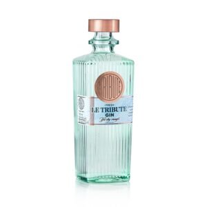 gin le tribute x750cc