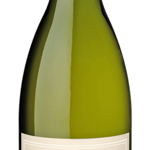 santa julia chardonnay x 750