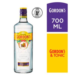 gin gordons 6x700 cc