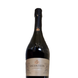 salentein ex brut con estuche