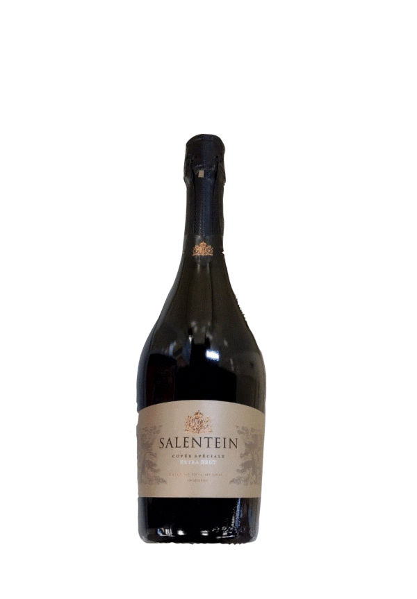 salentein ex brut con estuche
